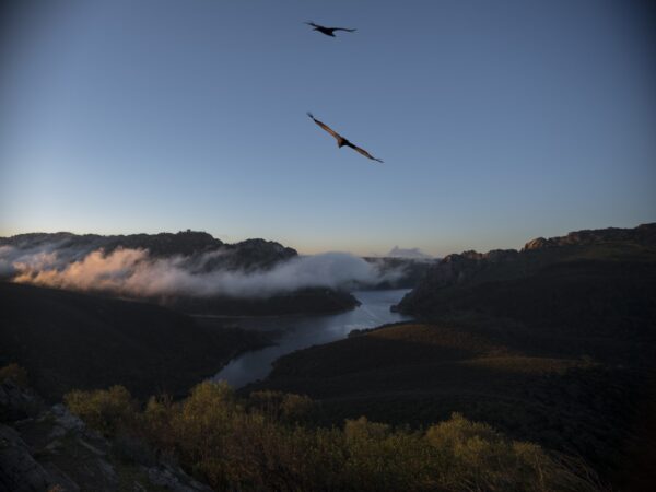 Fotografía del parque nacional de Monfragüe